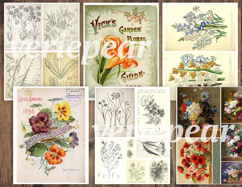 Vintage Botanical Junk Journal Ephemera Pack | 50 Pages, Printable ...