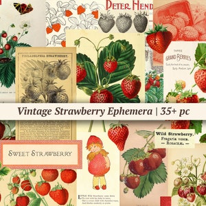 Vintage aardbei-ephemera, afdrukbaar junk-dagboekpapier, digitale botanische plakboekkit, collageblad zomerfruit, kieskeurig knippen, ATC-kaarten