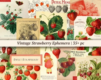 Vintage Strawberry Ephemera, Printable Junk Journal Paper, Digital Botanical Scrapbook Kit, Summer Fruit Collage Sheet, Fussy Cut, ATC cards
