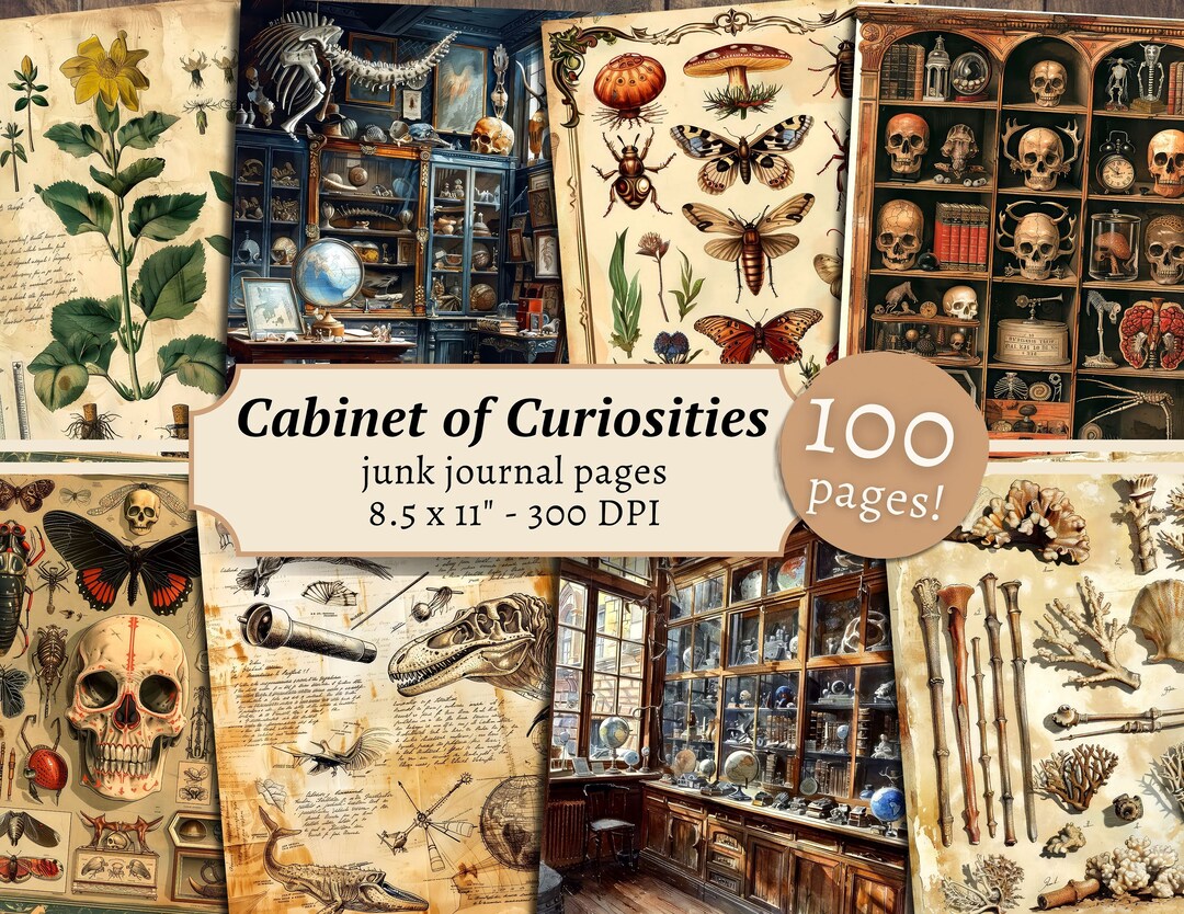 Cabinet of Curiosities Junk Journal Pages, Digital Scrapbook Paper, Field Book Printable, Victorian Collage Sheet, Vintage Botany, Butterfly - Etsy Cabinet of Curiosities Junk Journal Pages, Digital Scrapbook Paper, Field Book Printable, Victorian Collage Sheet, Vintage Botany, Butterfly - Etsy