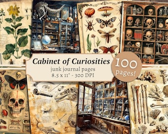 Cabinet of Curiosities Add on Junk Journal Kit, Digital Scrapbook Paper, Specimen Printable, Natural History Pages, Vintage Ephemera Cards - Etsy Cabinet of Curiosities Add on Junk Journal Kit, Digital Scrapbook Paper, Specimen Printable, Natural History Pages, Vintage Ephemera Cards - Etsy