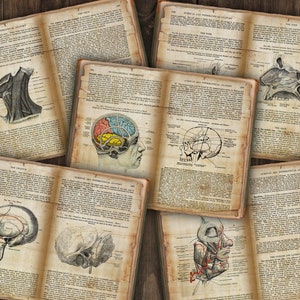 Afdrukbare boekpagina's menselijke anatomie | hoofd, hersenen, nek | vintage ephemera | boek der schaduwen, BOS | anatomische illustraties | junkjournaal