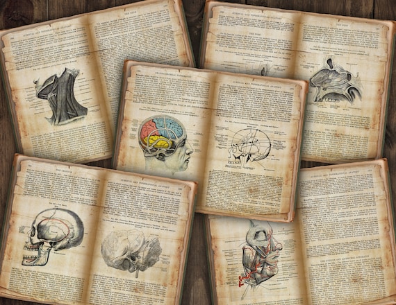 Human Anatomy Printable Book Pages Head Brain Neck - Etsy