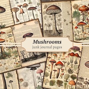 Pilz Journal Seiten, Digitales Fungi Junk Journal Papier, Druckbares Garten Scrapbook Kit, Fliegenpilz Collage Sheet, Vintage Ephemera