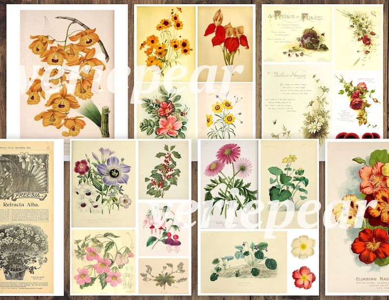 Vintage Botanical Junk Journal Ephemera Pack | 50 Pages, Printable ...