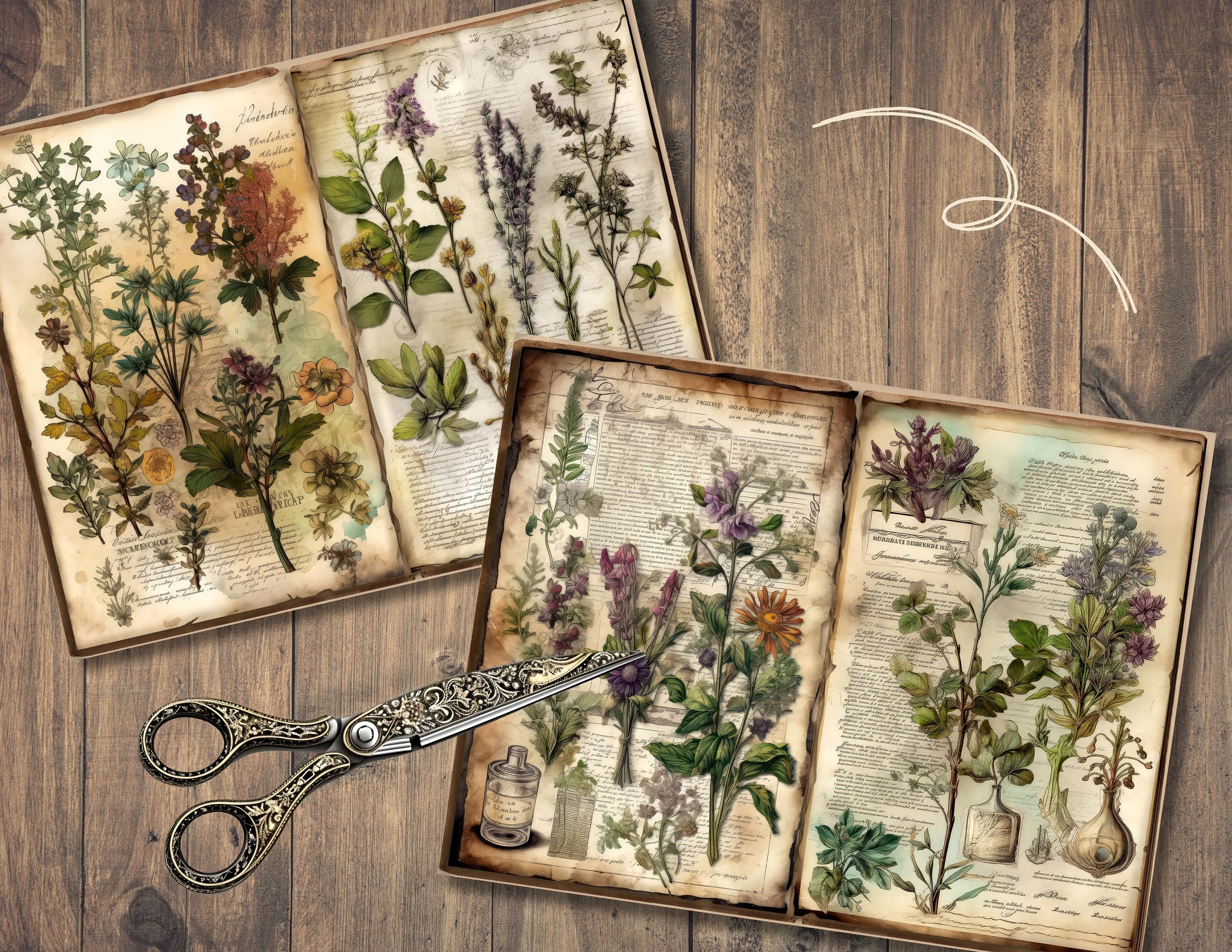 Botanical Herbs Junk Journal Pages, Digital Scrapbook Paper Kit, Herbal ...