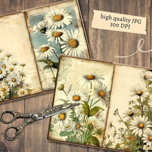May include: Two open vintage journals with pages filled with aged paper and illustrations of white daisies with yellow centers. The journals are on a rustic wooden background.