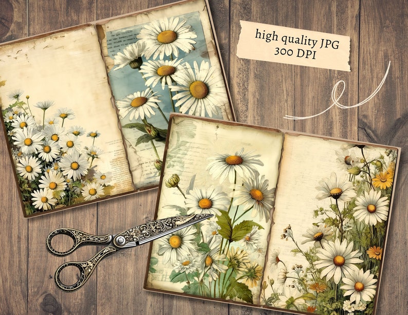 May include: Two open vintage journals with pages filled with aged paper and illustrations of white daisies with yellow centers. The journals are on a rustic wooden background.