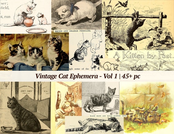 Vintage Cat Ephemera | 45+ pc | Vol 1 | printable junk journal paper, digital kitten images, collage sheet, victorian cat ATC, scrapbook kit