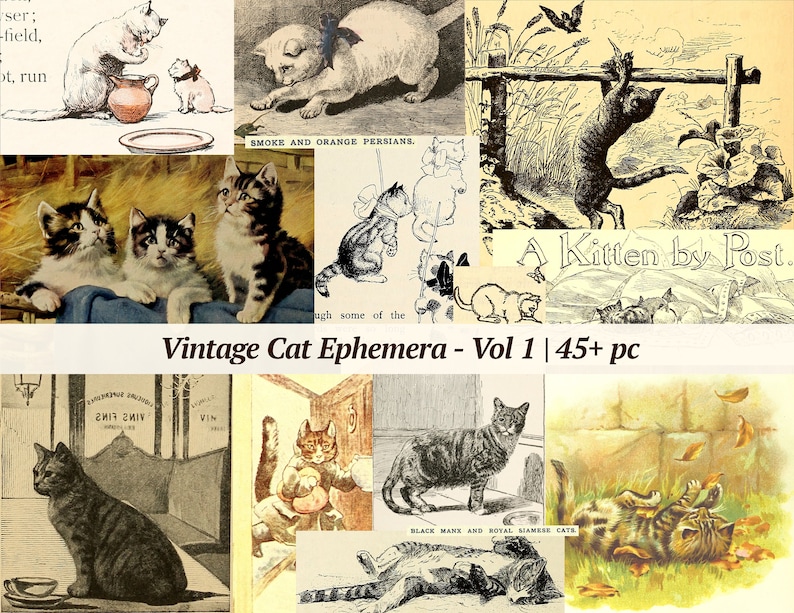 Puede incluir: Un collage de ilustraciones vintage con gatos. Las im&aacute;genes incluyen dibujos en blanco y negro de gatos jugando, durmiendo e interactuando con humanos. El t&iacute;tulo "Vintage Cat Ephemera - Vol 1 | 45+ pc" se muestra en la parte inferior del collage.
