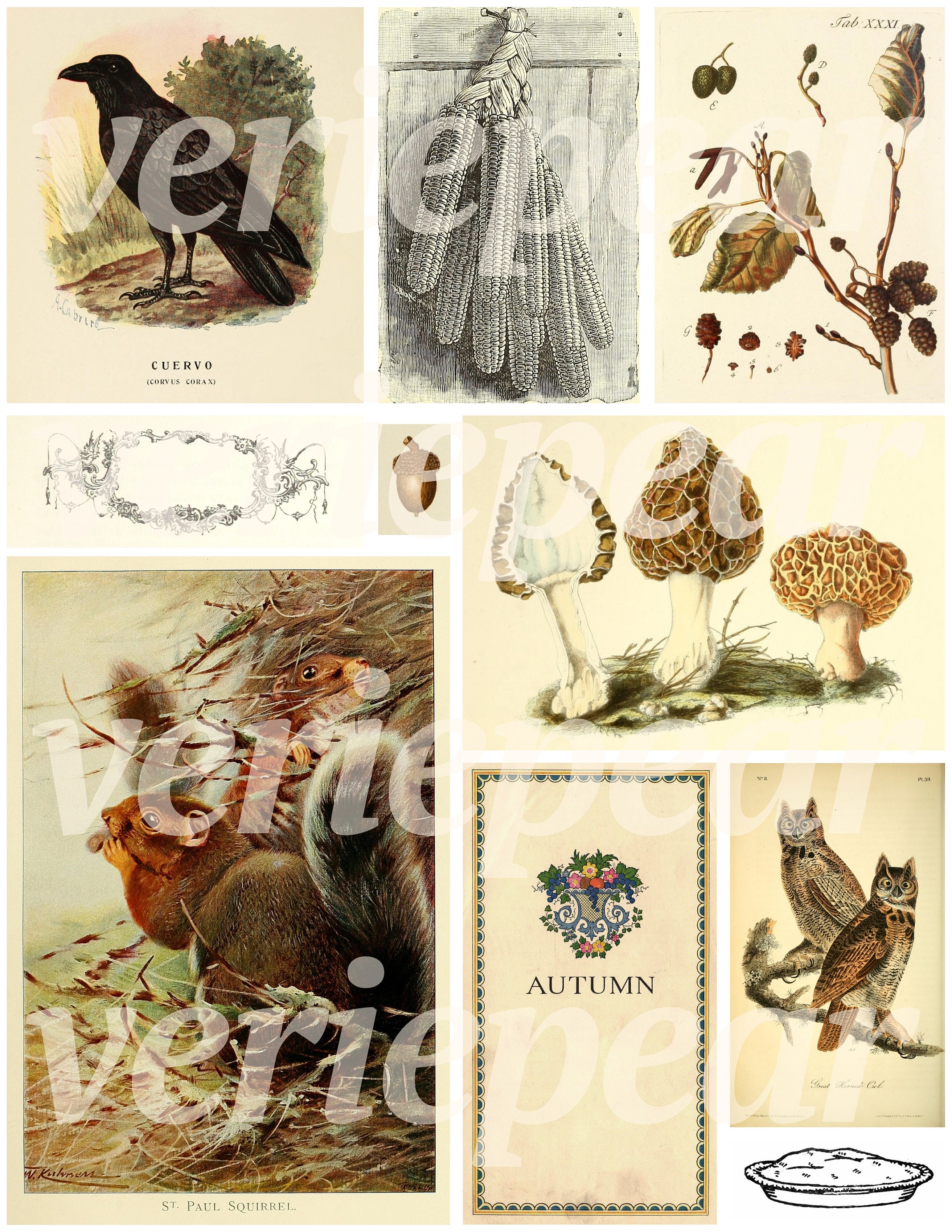 Vintage Fall Ephemera | 55+ Pc | Printable Autumn Junk Journal Paper ...