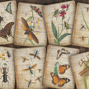Cartes de journalisation numérique insectes vintage | punaises, coléoptères et papillons | journal indésirable d'entomologie | ATC imprimable | Papier éphémère pour scrapbooking