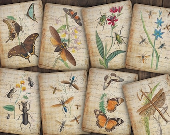 Vintage Insect Digital Journaling Cards | bugs, beetles & butterflies | entomology junk journal | printable ATC | scrapbook paper ephemera