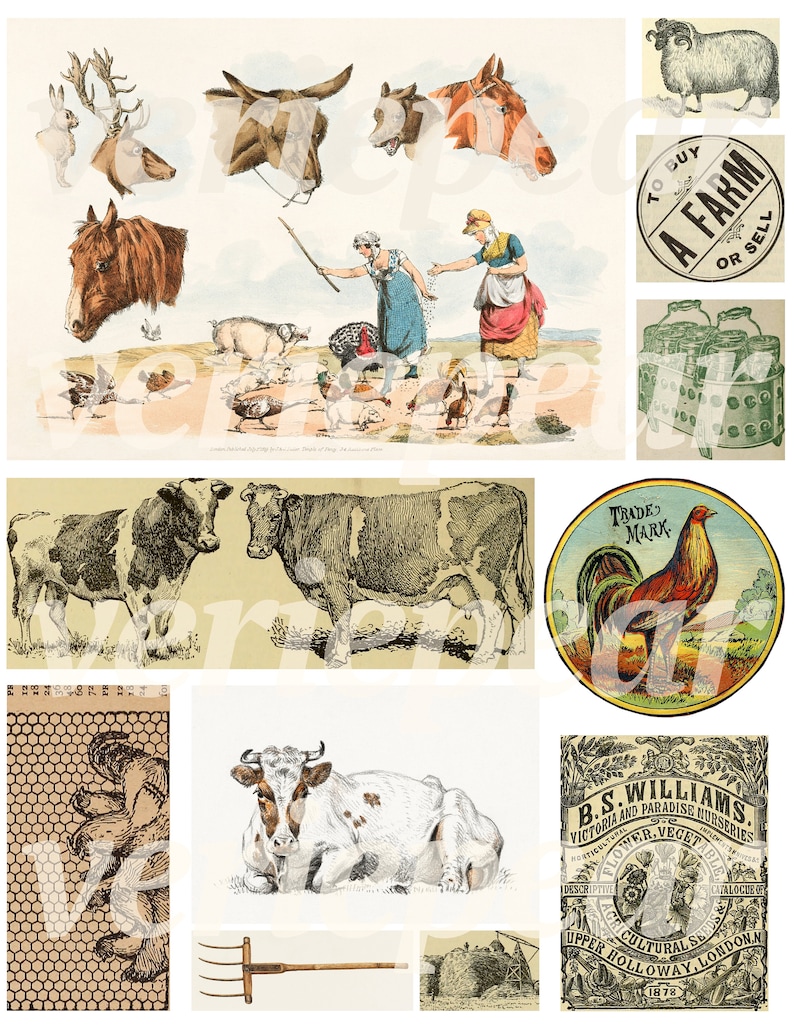 Vintage bondgårds-ephemera | 40+ st | digitalt collageark, utskrivbart skräpjournalkit för lantlig användning, scrapbookingpapper för bondgårdsliv, bilder på bondgårdsdjur bild 4