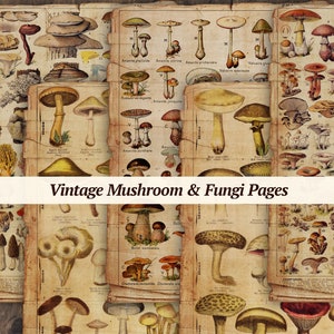 Vintage Mushroom Journaling Pages | printable fungi junk journal paper, digital botanical scrapbook kit, mushroom ephemera, collage sheet