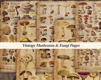 Vintage Mushroom Journaling Pages | printable fungi junk journal paper, digital botanical scrapbook kit, mushroom ephemera, collage sheet