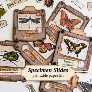 Objectglaasjesset, digitale insecten, efemere verschijnselen, entomologie afdrukbaar, vintage kieskeurige uitsteeksels, ongewenste tijdschriftlabels, plakboekpapier, versieringen
