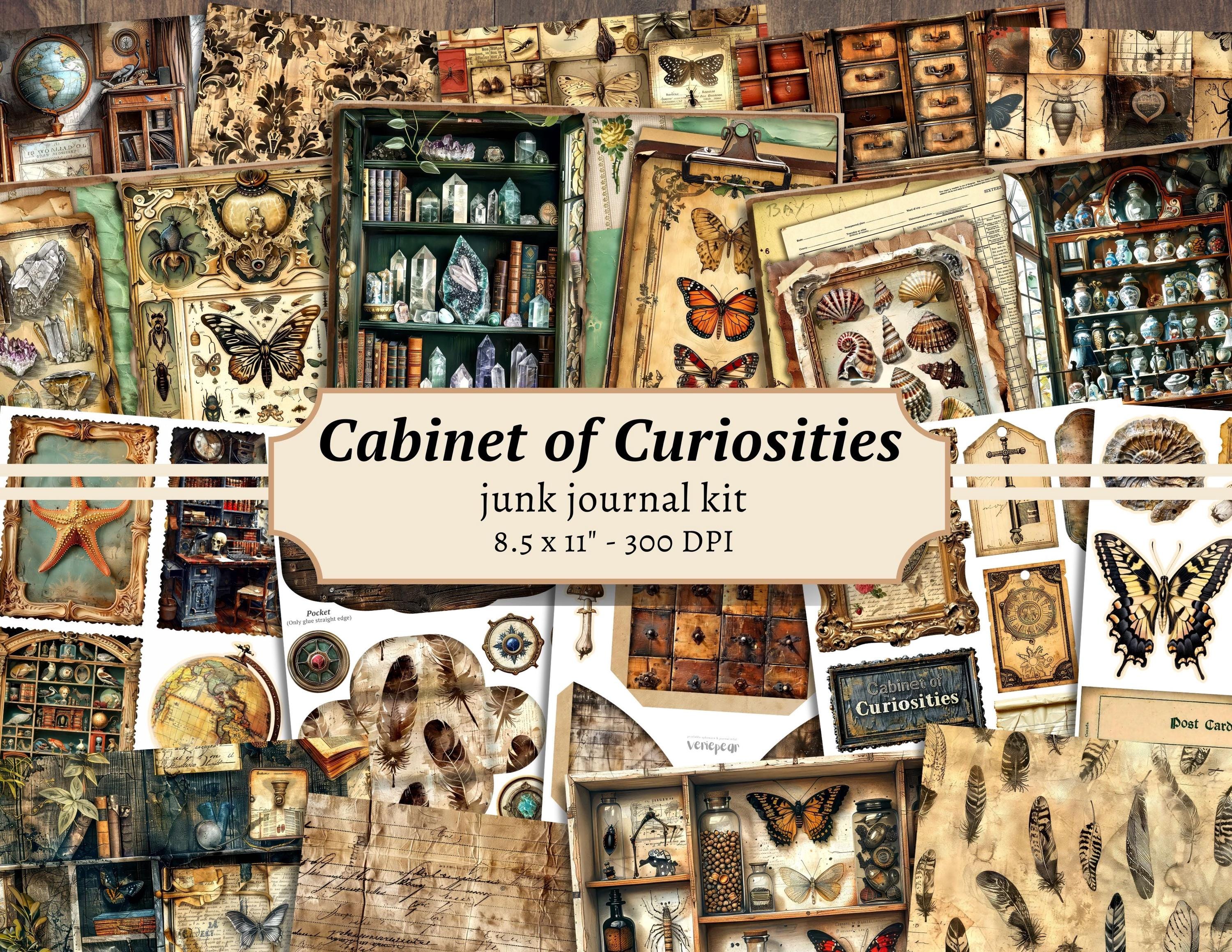 Cabinet of Curiosities Junk Journal Kit, Digital Scrapbook Paper, Natural History Printable, Victorian Science Pages, Vintage Ephemera Craft - Etsy Cabinet of Curiosities Junk Journal Kit, Digital Scrapbook Paper, Natural History Printable, Victorian Science Pages, Vintage Ephemera Craft - Etsy
