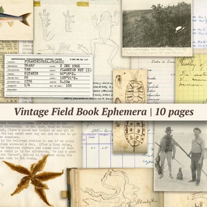 Vintage Feldbuch Ephemera | 10 Seiten | Junk Journal Kit zum Ausdrucken, digitales Scrapbook Papier, Muster Blatt, Reisetagebuch, Notizbuch