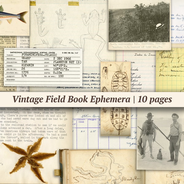Vintage Field Book Ephemera | 10 pages | printable junk journal kit, digital scrapbook paper, specimen collage sheet, travel notes, ledger