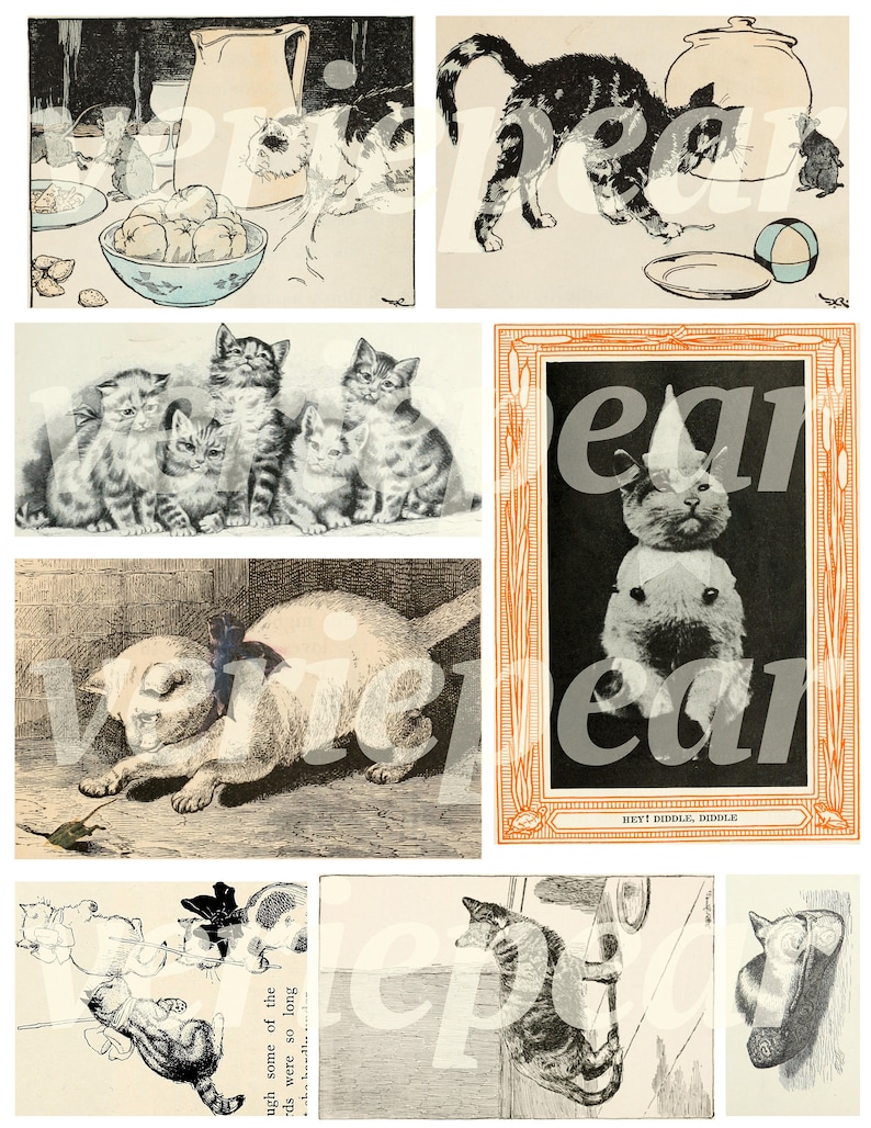 Puede incluir: Un collage de ilustraciones vintage con gatos en varias poses. Las im&aacute;genes incluyen gatos jugando con una pelota, un gato con un sombrero y un gato persiguiendo un rat&oacute;n. Las im&aacute;genes son en blanco y negro y tienen un toque caprichoso.