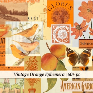Kit de coisas efêmeras laranja vintage | Mais de 60 unidades | pacote de papel para diário de lixo para impressão, folha de colagem digital, etiquetas antigas de registro no diário, páginas retrô de álbum de recortes