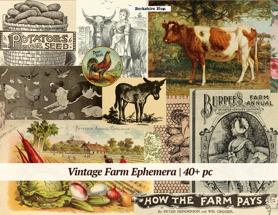 Vintage Farm Ephemera | 40+ pc | digital collage sheet, printable country junk journal kit, farm life scrapbook paper, farm animal images