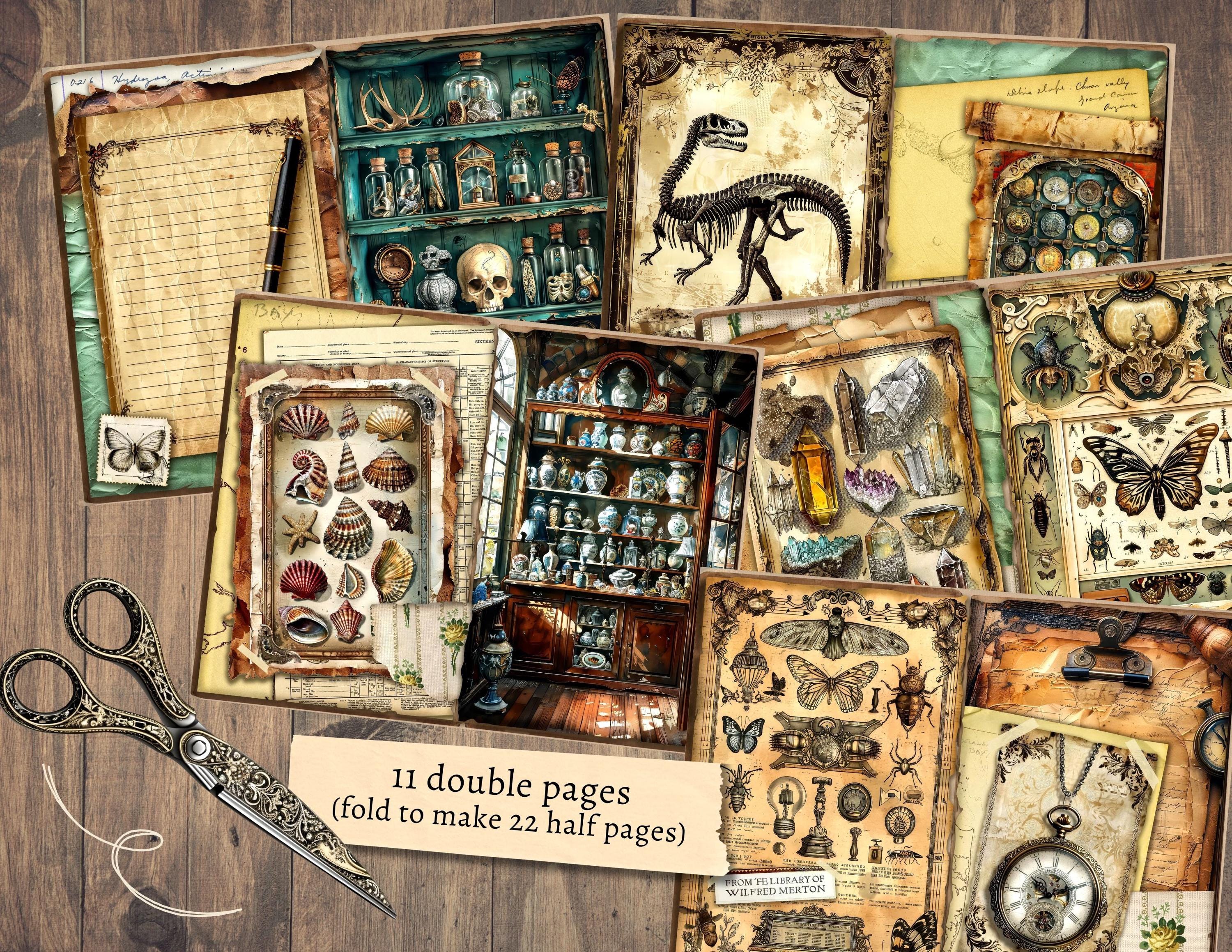 Cabinet of Curiosities Junk Journal Kit, Digital Scrapbook Paper, Natural History Printable, Victorian Science Pages, Vintage Ephemera Craft - Etsy Cabinet of Curiosities Junk Journal Kit, Digital Scrapbook Paper, Natural History Printable, Victorian Science Pages, Vintage Ephemera Craft - Etsy