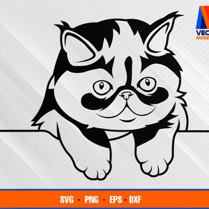 Op de afbeelding: Zwart-witte illustratie van een kat die over een oppervlak kijkt. De kat heeft een rond gezicht met grote ogen en een kleine neus.
