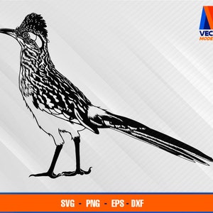 Greater Roadrunner EPS - SVG - PNG - Dxf  Vector Art - Cricut - Silhouette Cameo