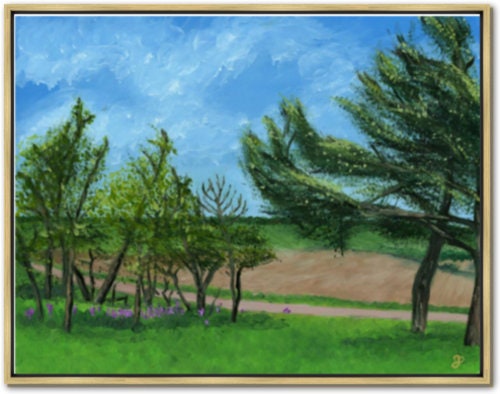 gallery photo