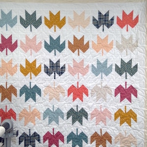 May include: A handmade quilt with a white background and a repeating pattern of leaf shapes in various colors, including teal, pink, and gold. The quilt has a floral border and is displayed on a wall.