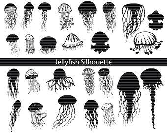 Download Jellyfish Svg Etsy