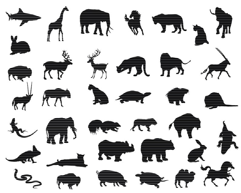 Download 189 Animals Svg Bundle Animals Silhouette Mega Pack | Etsy