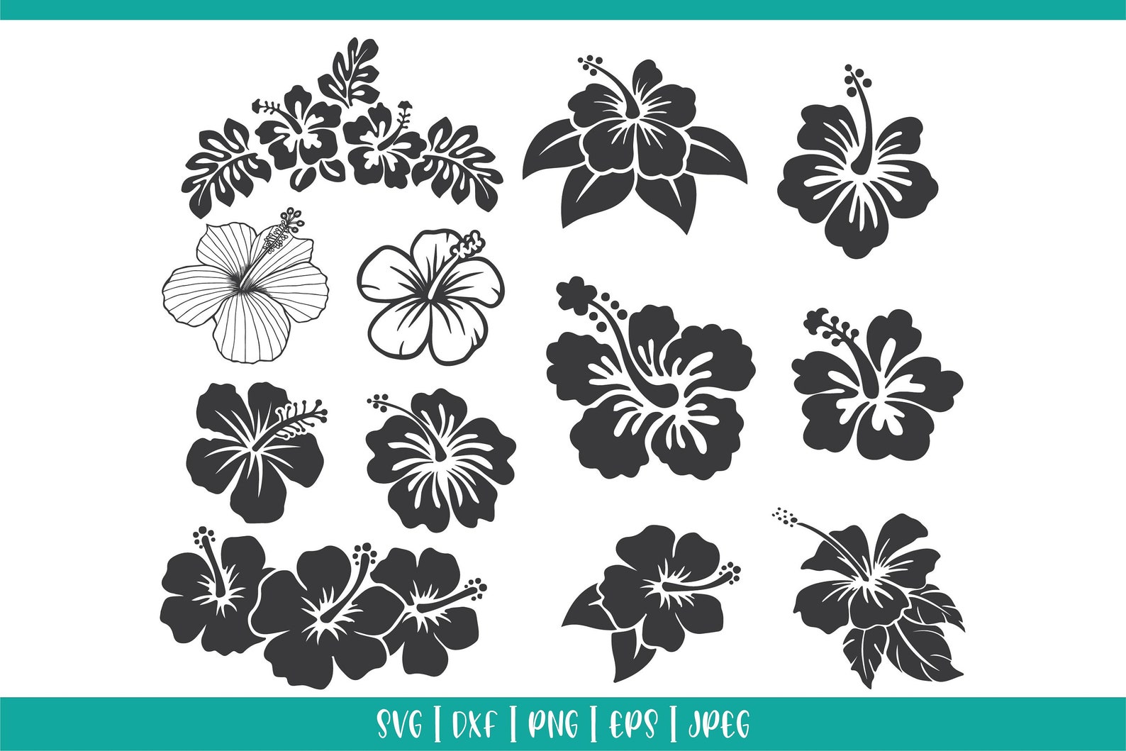 11 Hibiscus Flower Svg Cut File Template - Etsy