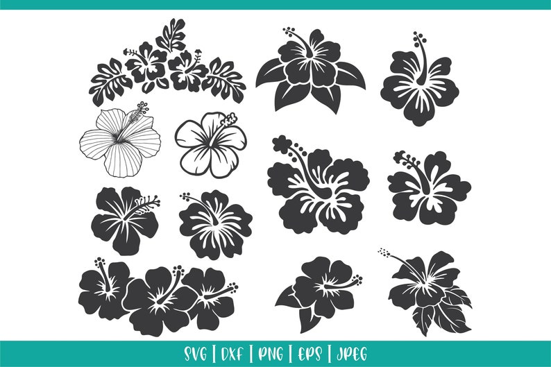 Buy 11 Hibiscus Flower Svg Cut File Template Online in India - Etsy
