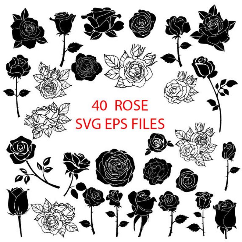 Download 40 Beautiful Roses SVG Flowers SVG Rose Bundle SVG Rose | Etsy