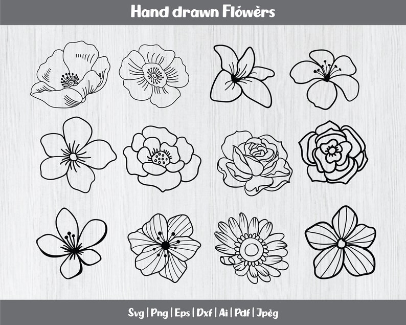 Hand drawn flowers svg bundle, roses svg, flower svg cut files, flowers clipart, flowers vector, flowers cricut svg, flowers silhouette, dxf image 1