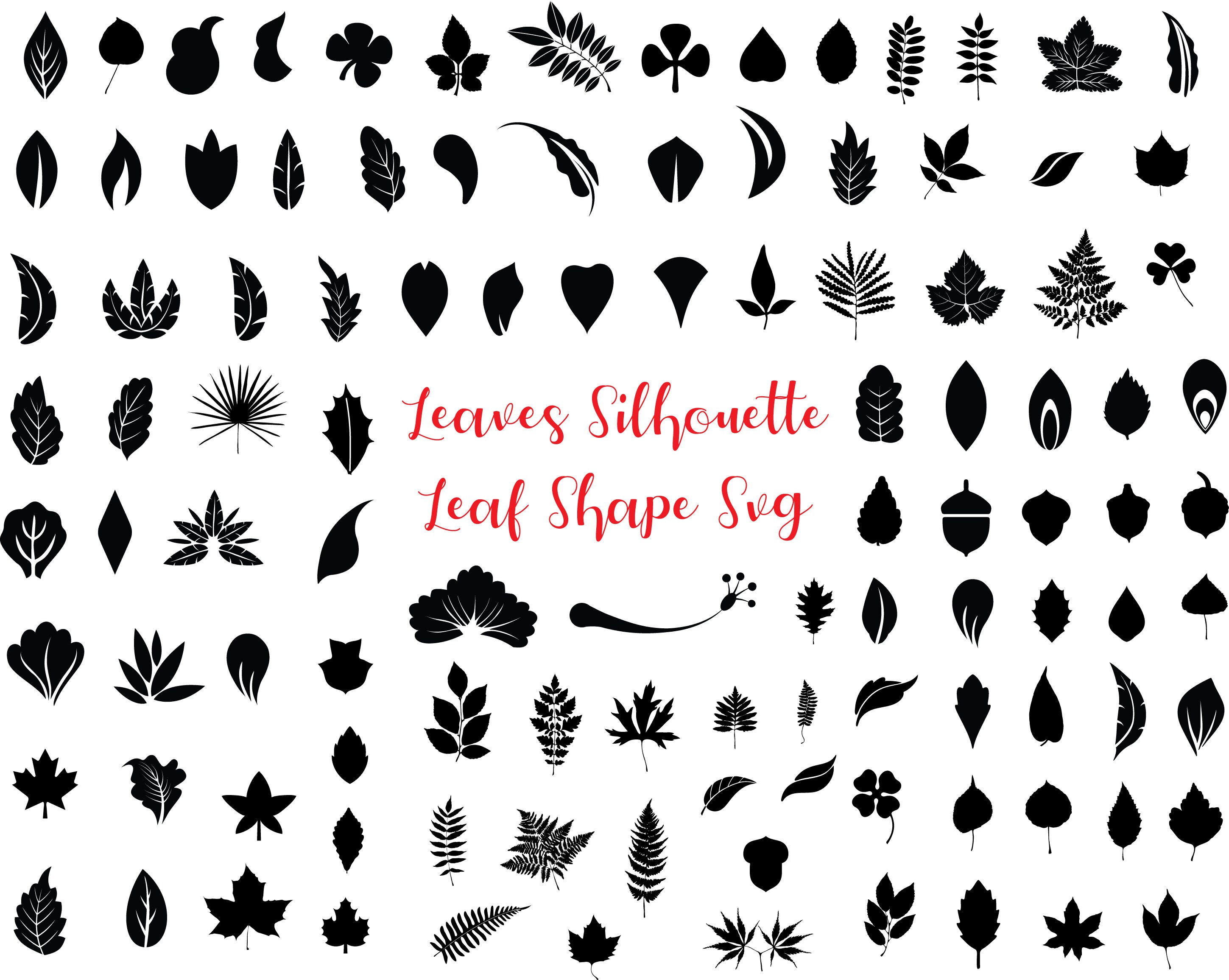 Download Leaf Svg Bundle Leaf Shape Silhouette Svg Leafs Svg Leaves Etsy