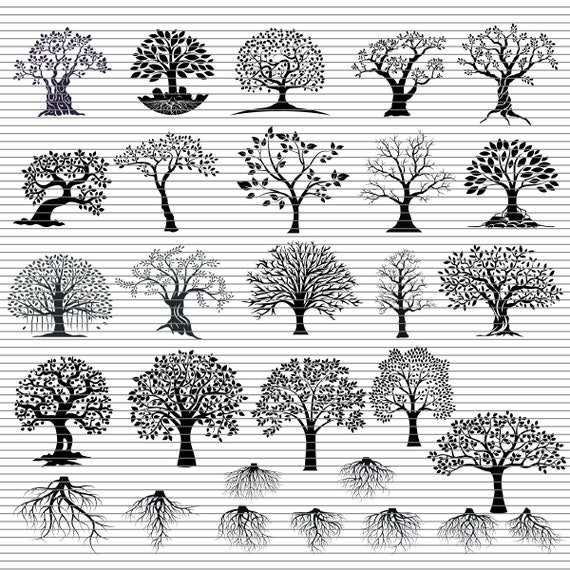 Download 20 Tree With Roots Svg Bundle Etsy
