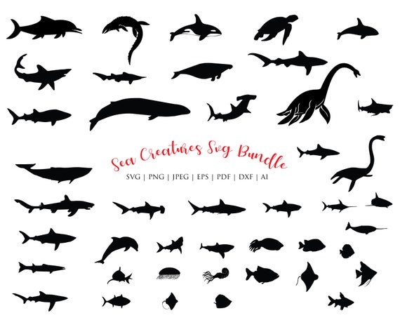 Download Sea Animal Svg Bundle Sea Animal Silhouette Sea Creatures Etsy