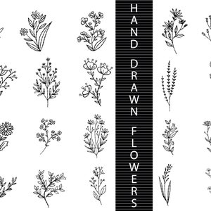 HAND DRAWN PLANTS Svg Bundle, plant svg, branches svg file, hand drawn svg, leaves svg file, laurel svg, leaf svg, leaves svg, cricut svg