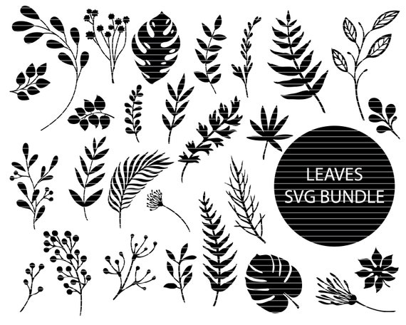 Aarde Wrak Tolk Bladeren Svg Bundle Leaf Svg File Branch Svg Cut File - Etsy België