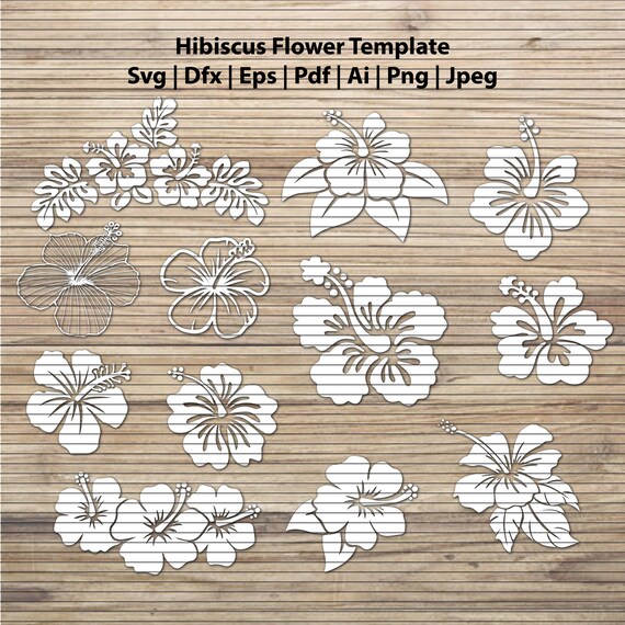 Download 11 Hibiscus Flower Svg Cut File Template Etsy