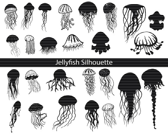 Download 26 Jellyfish Svg Bundle Jellyfish Cricut Jellyfish Etsy