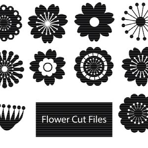 Flower SVG Bundle, Flower cut file, Flower clipart, Flower svg files for silhouette, files for cricut, svg, dxf, eps, png