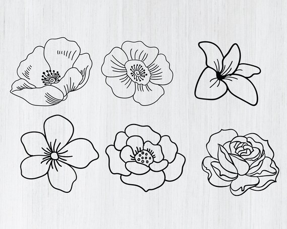 Album Aktiv Wasser trinken blumen gezeichnet einfach Krähe Akzeptiert atmen