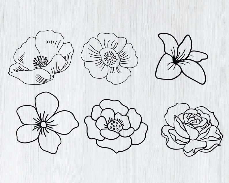 Hand drawn flowers svg bundle, roses svg, flower svg cut files, flowers clipart, flowers vector, flowers cricut svg, flowers silhouette, dxf image 3