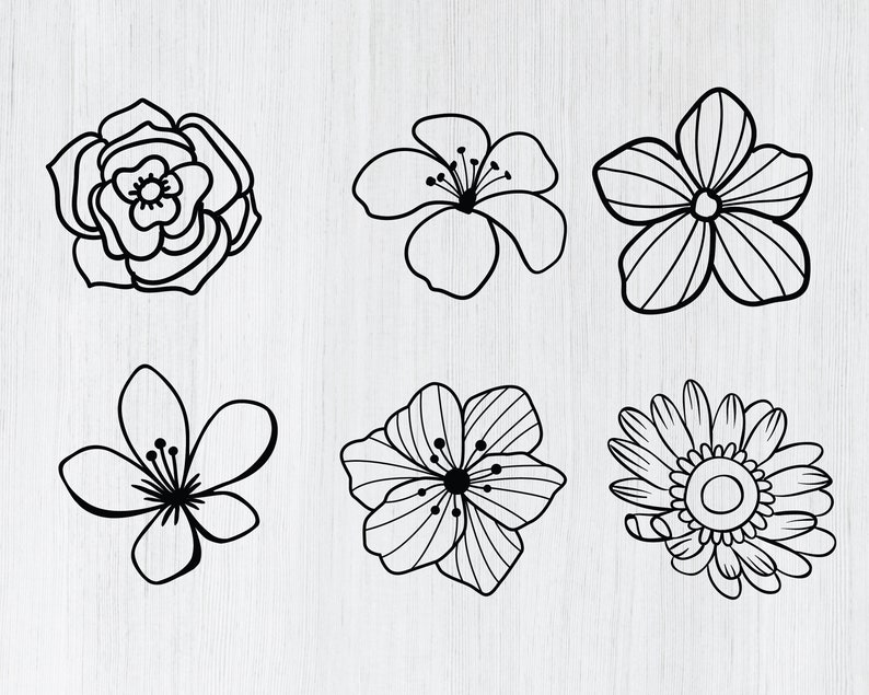 Hand drawn flowers svg bundle, roses svg, flower svg cut files, flowers clipart, flowers vector, flowers cricut svg, flowers silhouette, dxf image 2