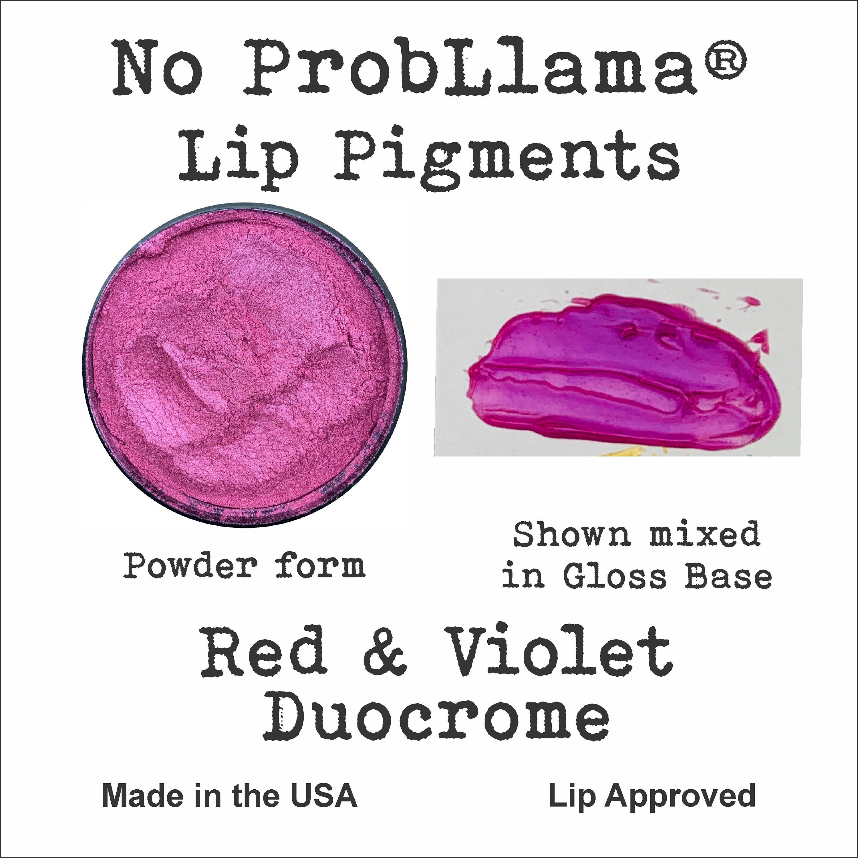 PARAMISS Lip Gloss Pigment Set 5 Colours Natural Lip Gloss Colour Pigment  and White Glitter Pigment Powder for Lip Gloss Base，Lipstick Base DIY Lip  Gloss Supplies Make Your Own Lip Gloss 